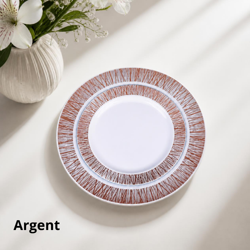 Ensemble 4 Assiettes Jetables, Assiettes Écologique Résistantes pour Mariages et Fêtes – image 3