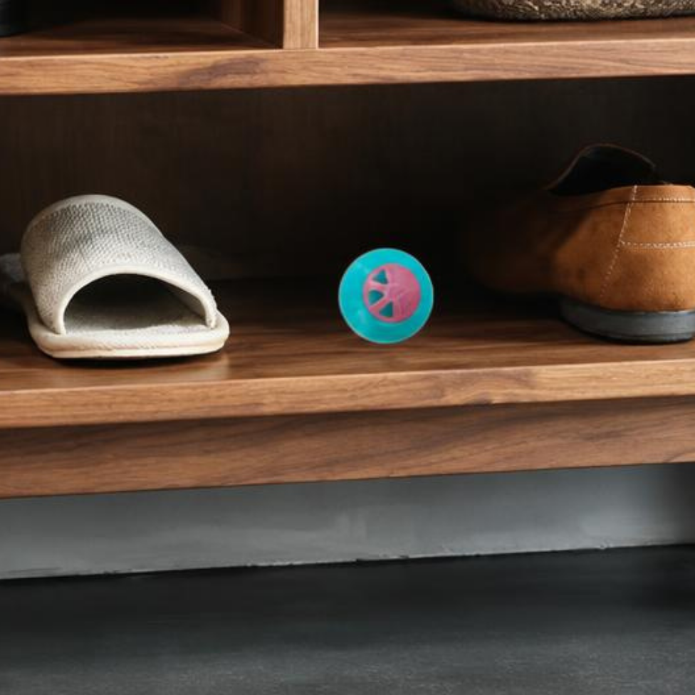 Lot de 2 Boules Désodorisantes pour Chaussures, Parfum Longue Durée, Éliminent les Odeurs,Désodorisant pour Chaussures – image 4