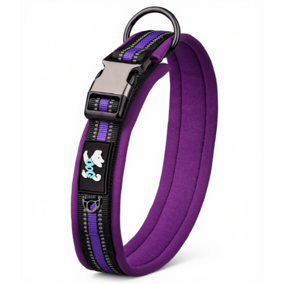 Collier pour Chien Réglable,Confortable, Rembourré en Néoprène,Réfléchissant, en Nylon et Coton – image 6