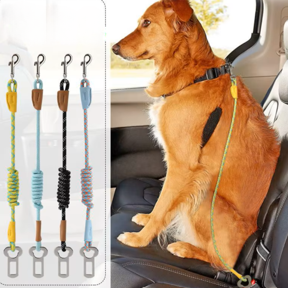 Laisse de Sécurité pour Animaux de Compagnie de Luxe pour Voiture,Écologique et Résistante,Corde Durable, Design Réfléchissant