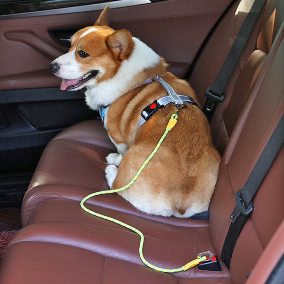 Laisse de Sécurité pour Animaux de Compagnie de Luxe pour Voiture,Écologique et Résistante,Corde Durable, Design Réfléchissant – image 2