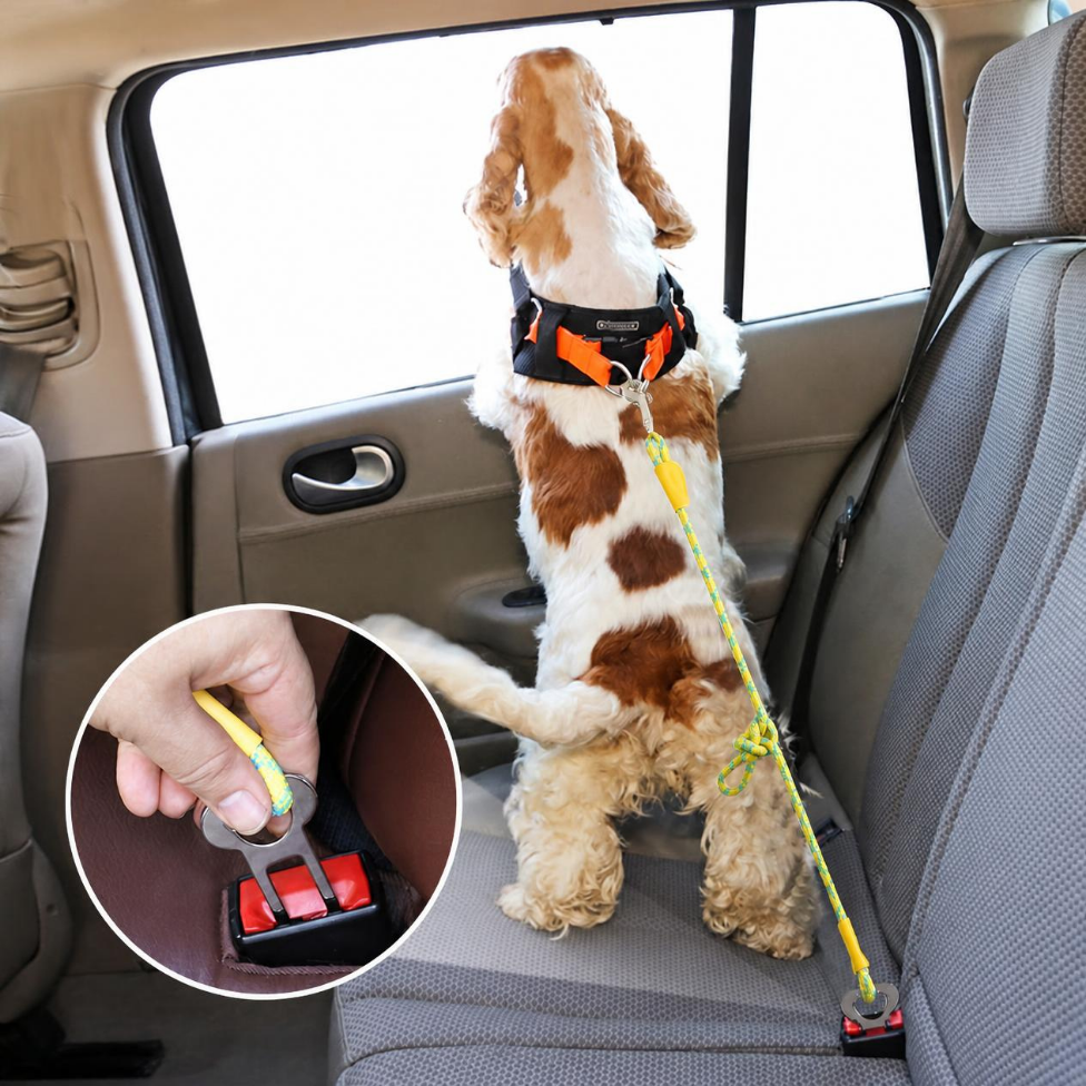 Laisse de Sécurité pour Animaux de Compagnie de Luxe pour Voiture,Écologique et Résistante,Corde Durable, Design Réfléchissant – image 6