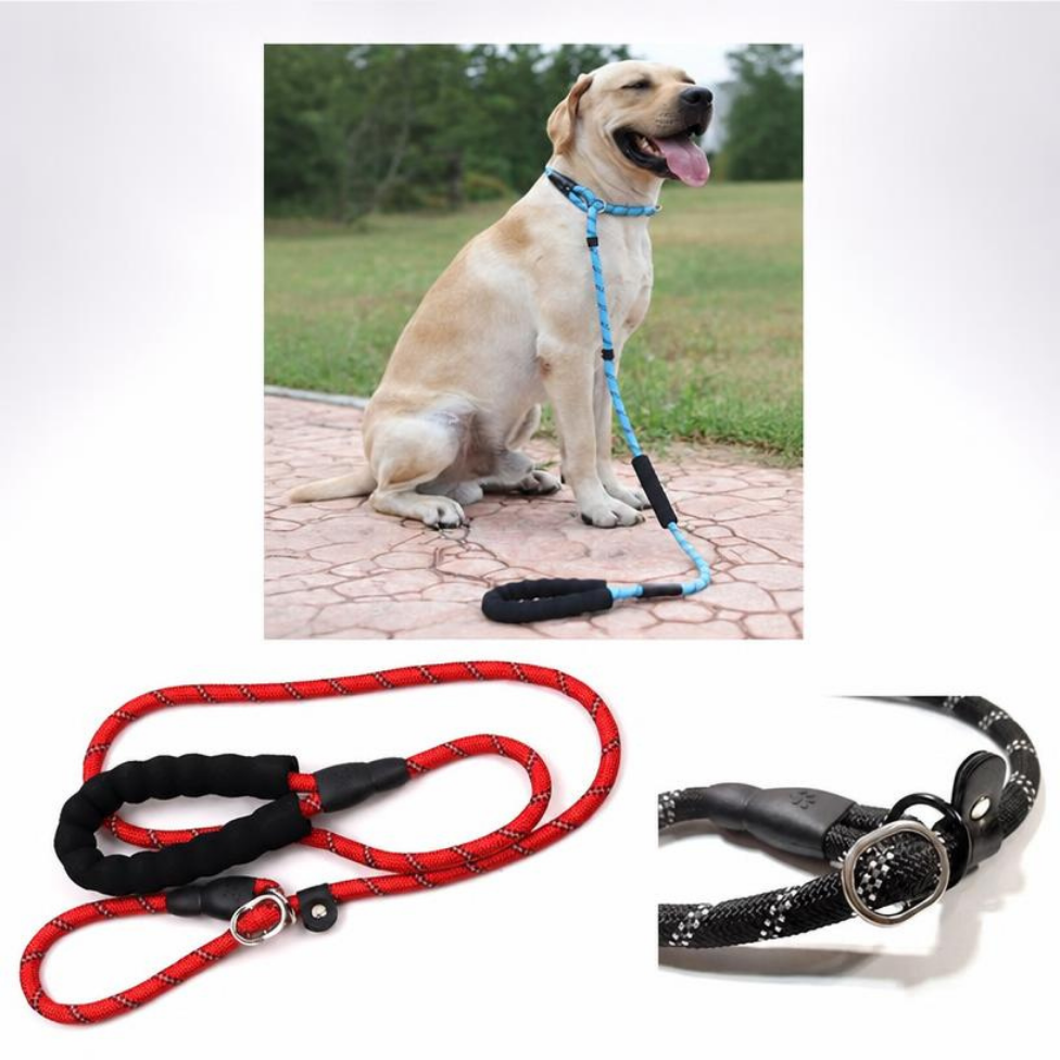 Laisse de Dressage pour Chien de Haute Qualité, Long Laisse avec Poignée Rembourrée et Longueur Réglable – image 2