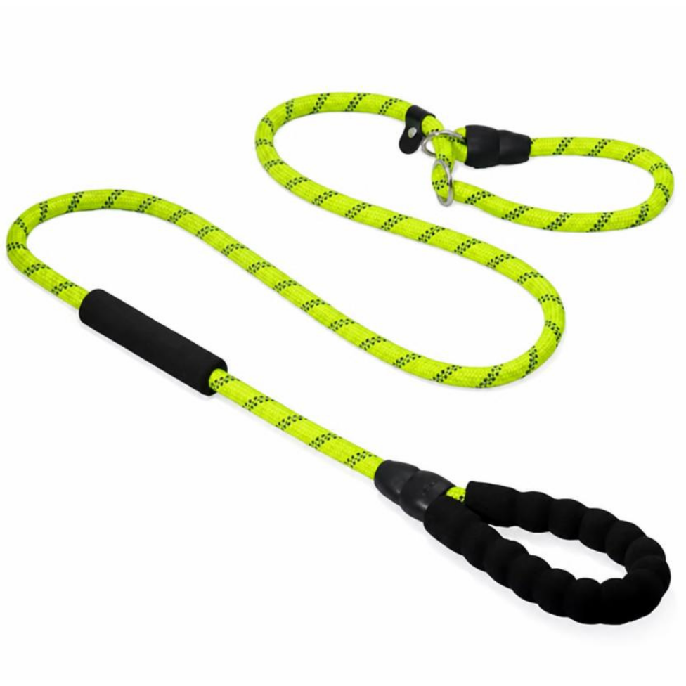 Laisse de Dressage pour Chien de Haute Qualité, Long Laisse avec Poignée Rembourrée et Longueur Réglable – image 5